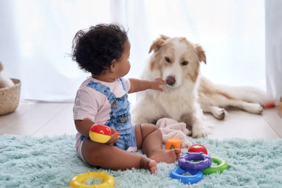 A baby sits on a rug with toys and reaches toward a white dog lying nearby.