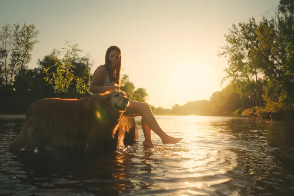 A woman sits on a rock in a river at sunset with a golden-coated dog standing beside her.