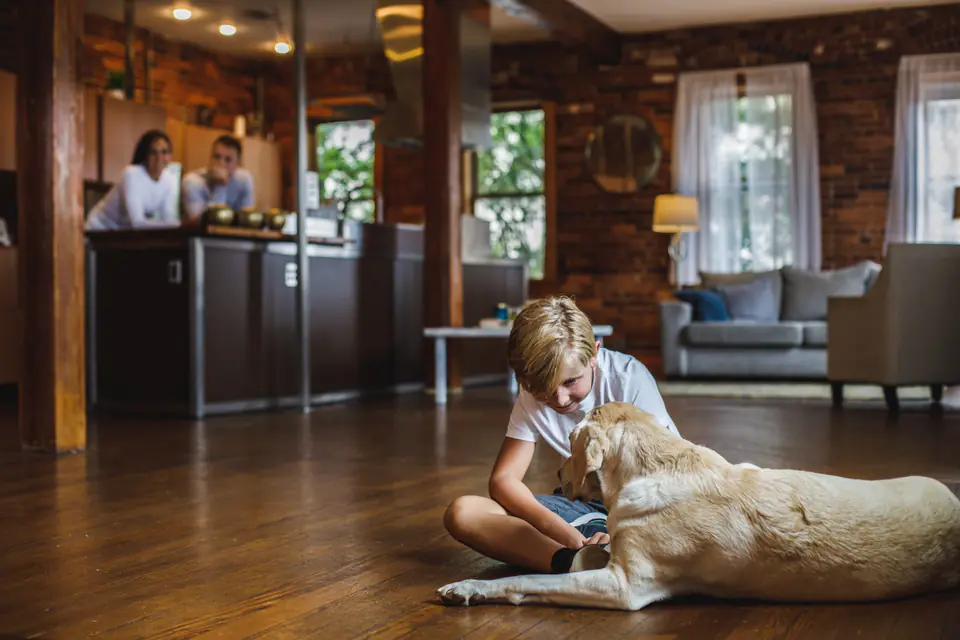 A boy sits on a wooden floor stroking a yellow Labrador lying beside him in an open-plan family room.