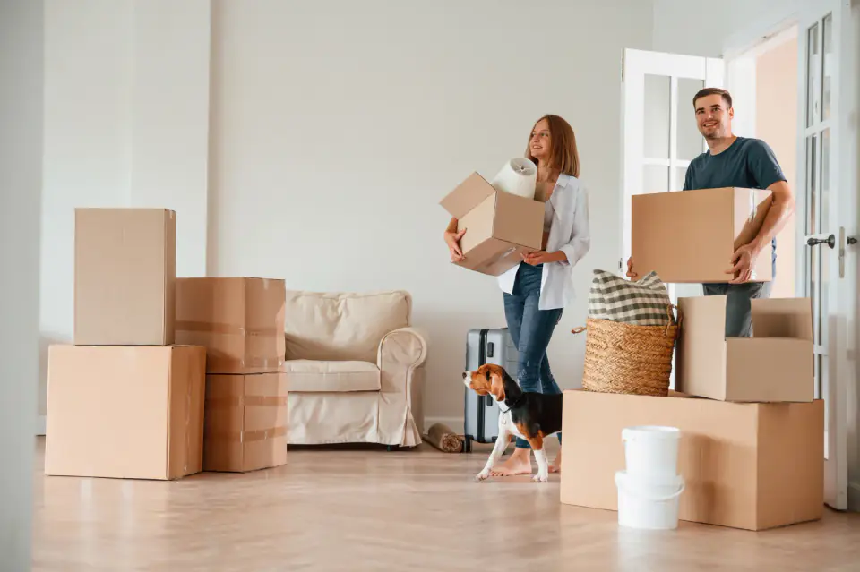 A beagle sits among cardboard boxes as a couple carries boxes through a bright living room.