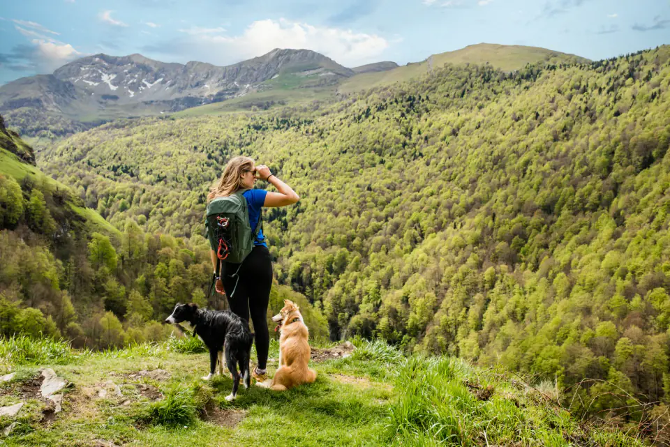 A hiker with a backpack and two dogs stands on a grassy overlook facing forested mountains.