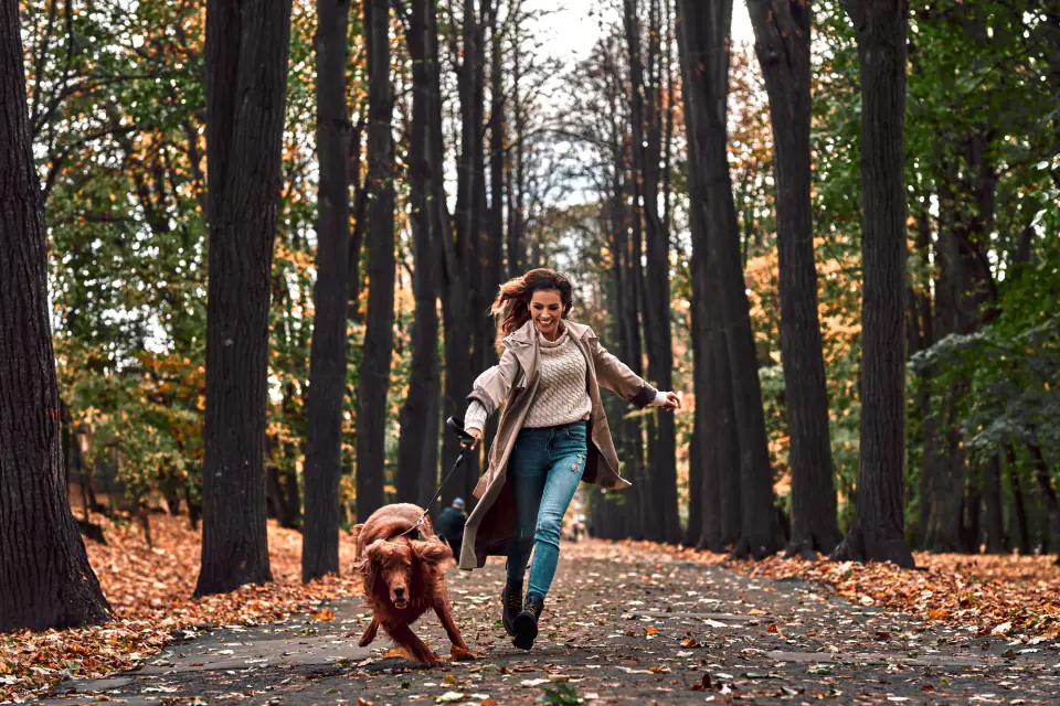 A woman runs down a leaf-covered path through tall trees with a brown dog on a leash, the kind of strong, fast dog this page is about.