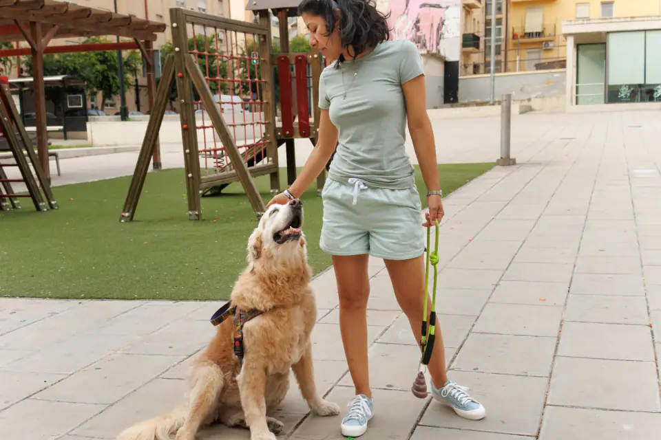 A woman on a leash walk pets a golden retriever that sits calmly on the paving beside a playground
