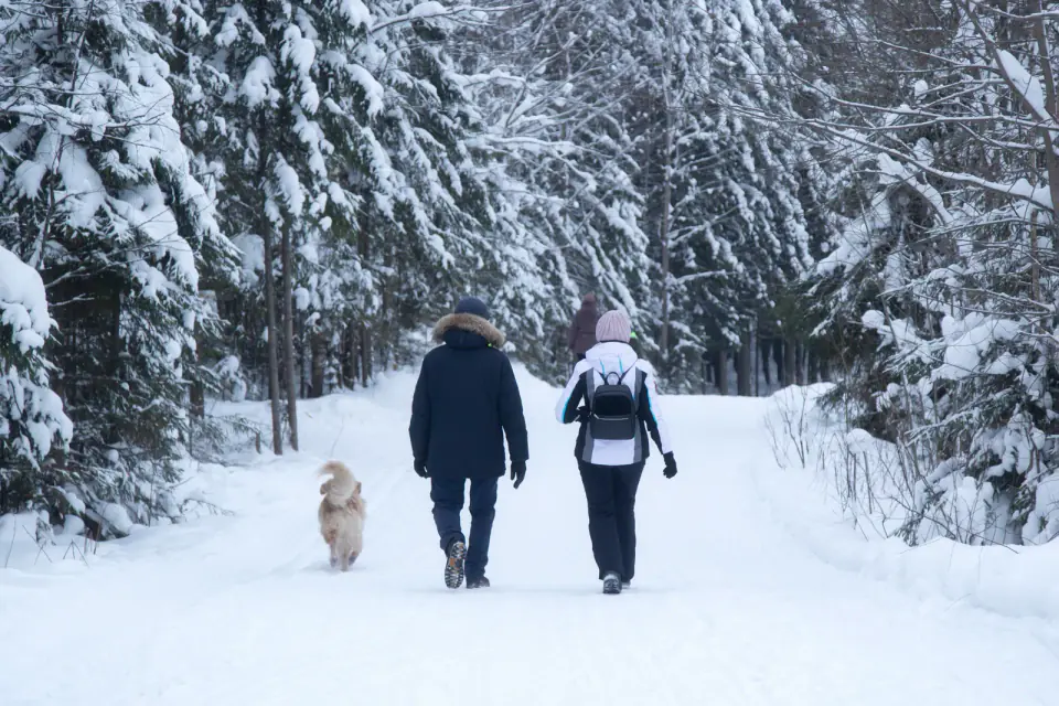 Two people in winter coats walk along a snowy forest trail with a small golden-colored dog.