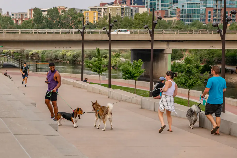 People walk several leashed dogs, including a beagle, along a paved riverside path below a city bridge.